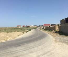 Masazır Torpaq