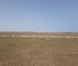 Saray Torpaq