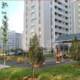 Kirayə verilir Yeni tikili, 40m², 1-Otaqlı