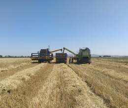 17 ha Ərazi satılır  Hacıqabulda 