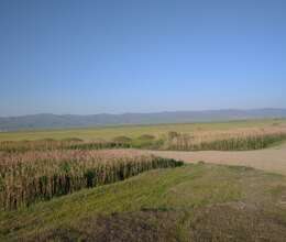  28 hektar Xüsusi Mülkiyyət Ərazi satılır  Xızıda 