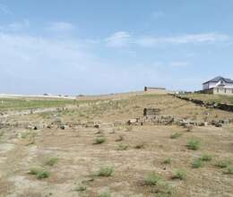 Masazır Torpaq