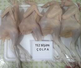 Çolpalar