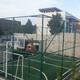 Multisport stadion qazonu