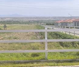 Taxta Hasar(Ahşap çit)