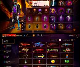Free Fire