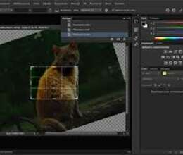  Adobe Photoshop Proqramlarından dərslər 