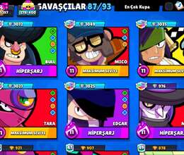 Bravl Stars