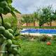 ? Şabran Pearl Oasis – Ailəvi Bağ Evi Kirayə Verilir