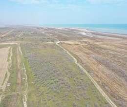 59 hektar Ərazi satılır Giləzidə Dənizə "0" 