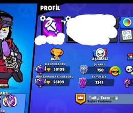 Brawl hesab