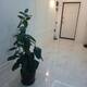 Satılır Yeni tikili, 107m², 3-Otaqlı