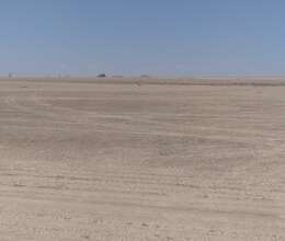 25 hektar  SƏNAYE  TƏ'YINATLI  