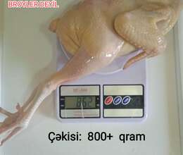 Çolpa əti 900+