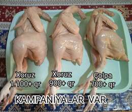 Xoruz əti 900qr