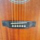  Akustik Gitara  Vega MF- -220 C