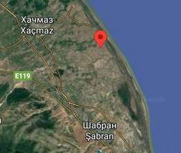 202 hektar satılır Xaçmazda 