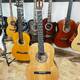 Klassik Gitara  MC 215
