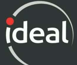 Трезвый водитель