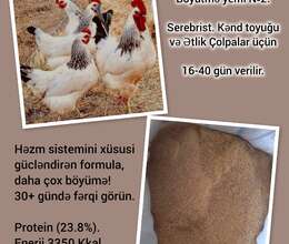 Böyütmə yemi №2
