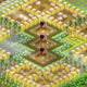 Hay Day oyunu