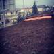 Qara torpaq peyin istənilən yerə sifariş verə bilərsiniz 