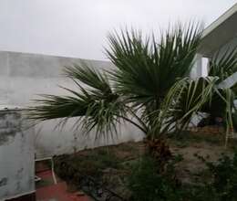 Satış Həyət evi, 110m²