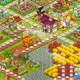 86 lv Hay Day hesabı