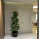 Satılır Yeni tikili, 148m², 3-Otaqlı