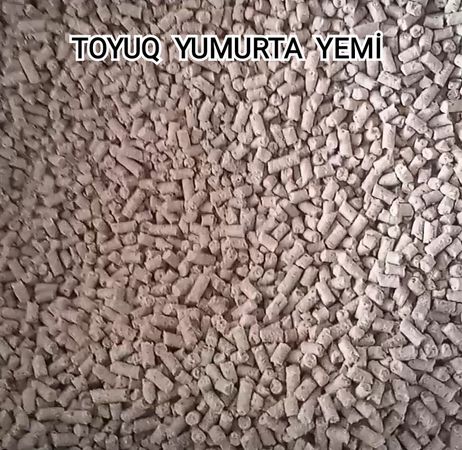 Toyuq Yumurtalama Yemi