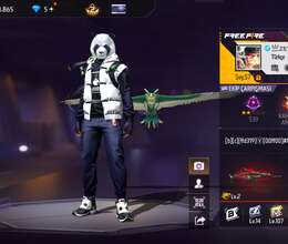 Free Fire
