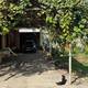 Satış Həyət evi, 150m²