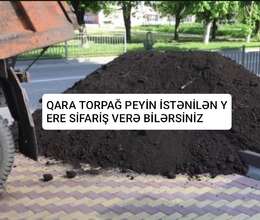 Qara torpağ peyin 