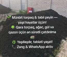 Qara torpaq peyin 