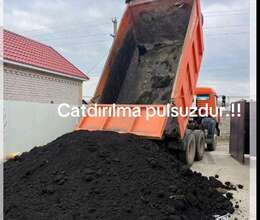 Qara torpaq peyin 