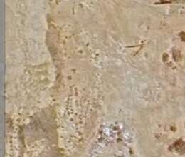 4 hektar erazi satílír Diger Te'yinatli 