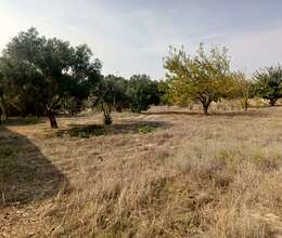 28 sot senaye te'yinatli yer 