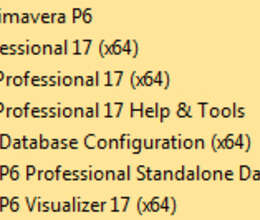 "Primavera P6 Professional v17.7" proqramı