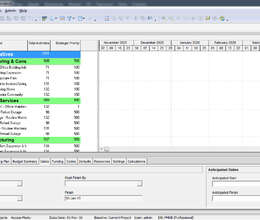 "Primavera P6 Professional v17.7" proqramı