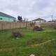 Satılır 5 sot torpaq Bilgəh qəsəbəsində