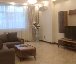 Kirayə verilir Yeni tikili, 250m², 6-Otaqlı