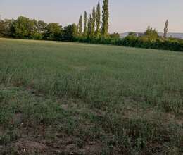 Şəki şəhəri Aşağı Küngüt kəndində 80 sot torpaq sahəsi bağ satılır 