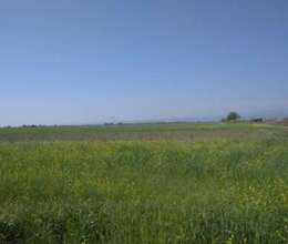 14 sot torpaq satílír 