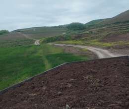 Qara torpağ peyin əkinə yararlı münbit 