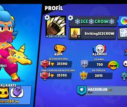 Brawl stars hesabları 