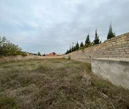 12 sot torpaq sahəsi