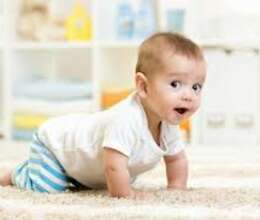 Bagcada dayə tələb olunur