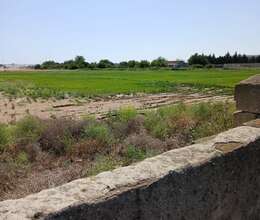 Buzovnada torpaq satilir