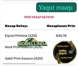 Evdar xanımlar üçün iş 