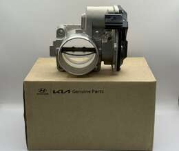 Hyundai SantaFe 2012-2015 2.0 Dizel Drossel Qapağı (Zaslonka)